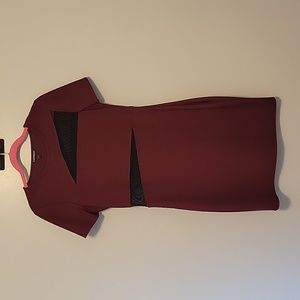 Express body con dress